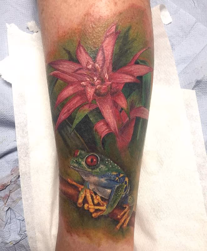 Color Flower and Frog