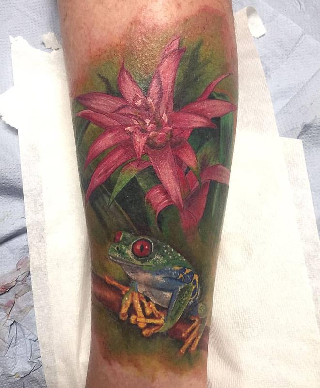 Color Flower and Frog
