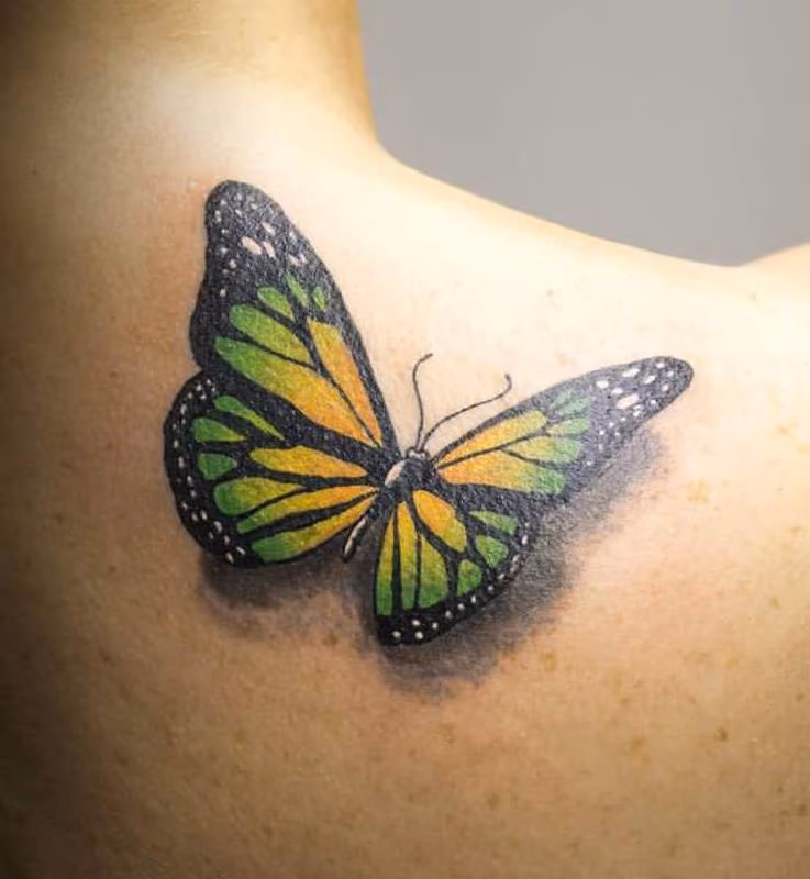 Mariposa a color - Butterfly in color