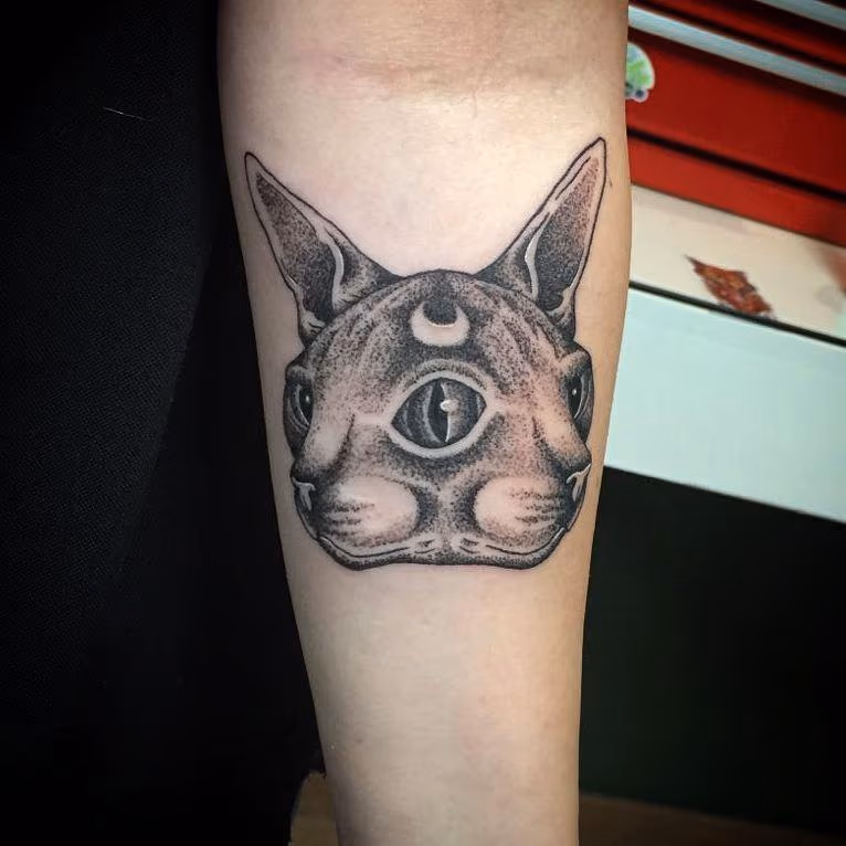 Two-faced sphynx cat in dotwork