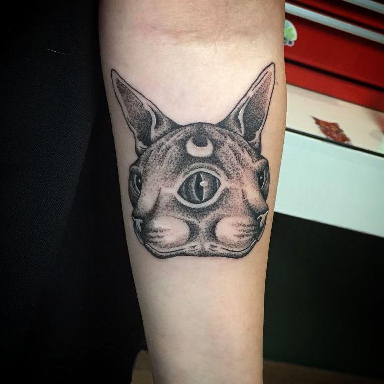 Two-faced sphynx cat in dotwork