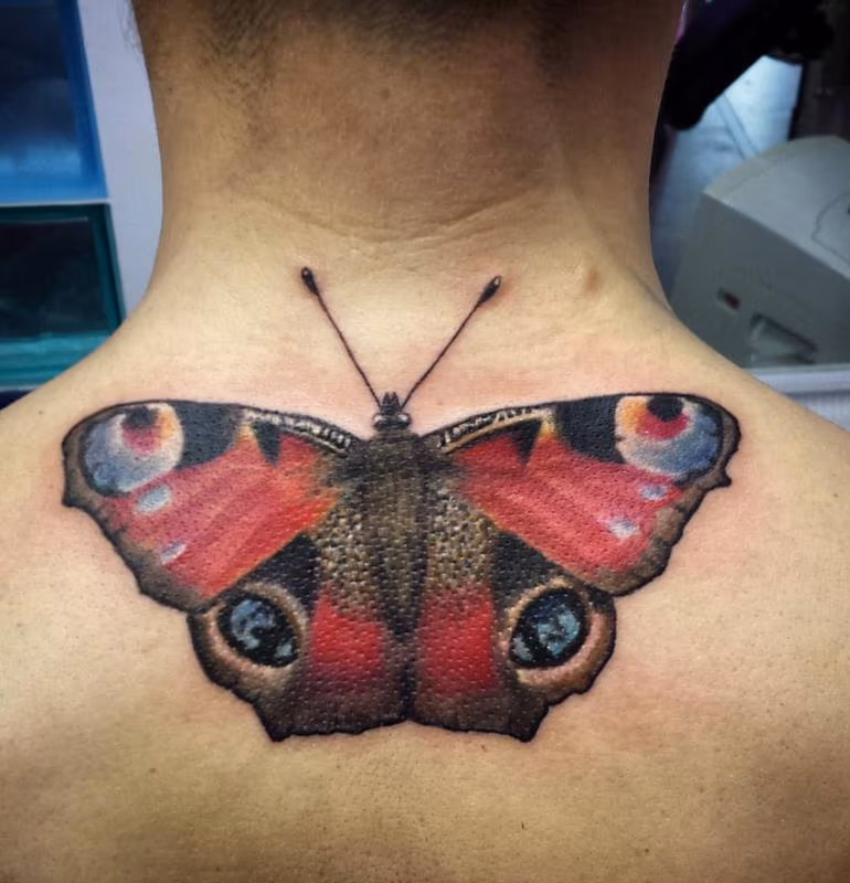 Mariposa realista a color