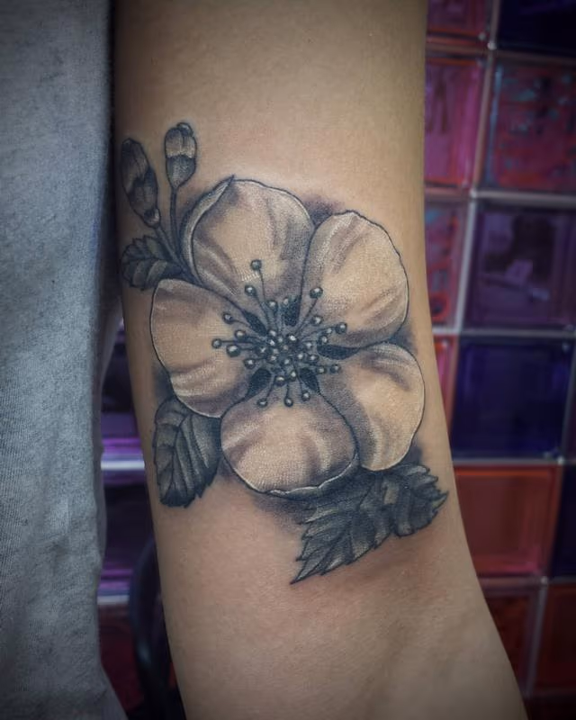 Flor de cereza en negro y gris