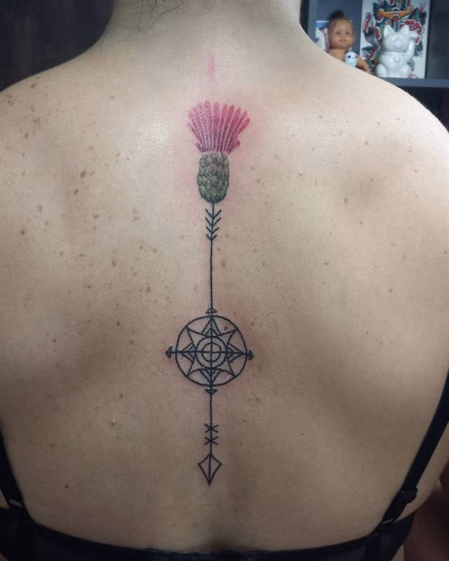 Ornamental Arrow and Thistle Flower in Color