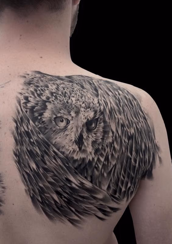 Owl