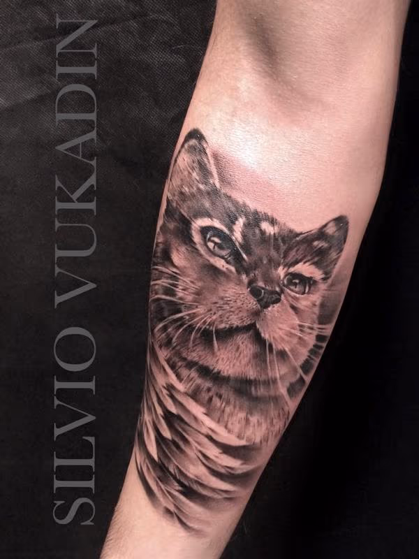 Cat portrait