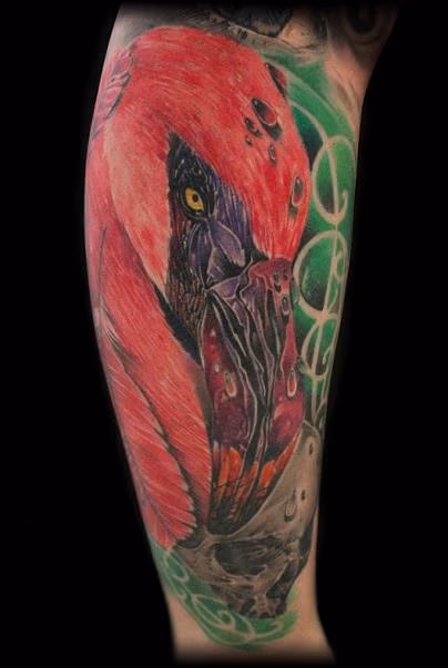 Flamingo and Skull