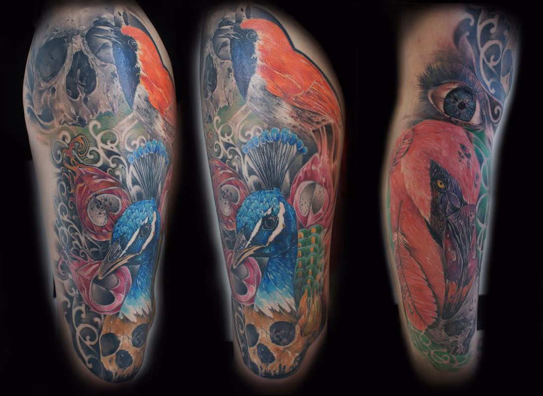 Birds and Death