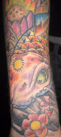 Koi detail