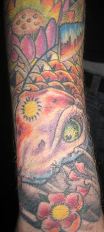 Koi detail