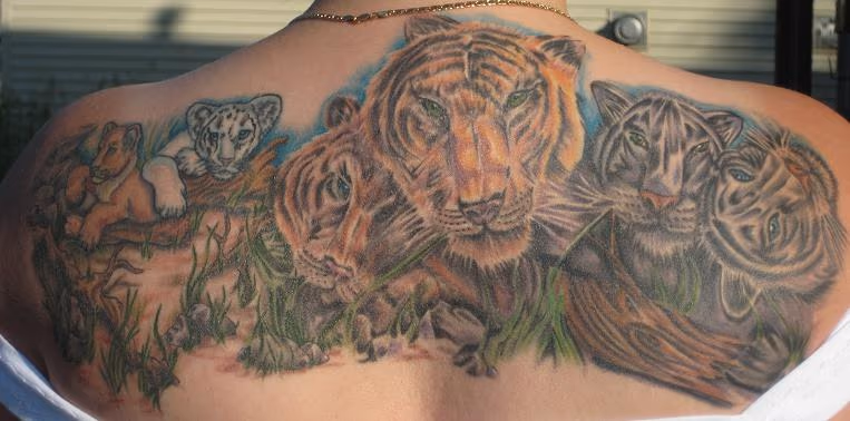 Tigers