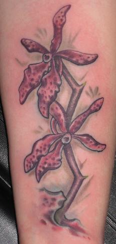 orchids