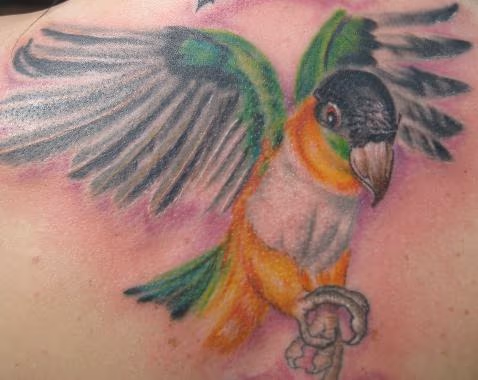 Black headed caique tattoo