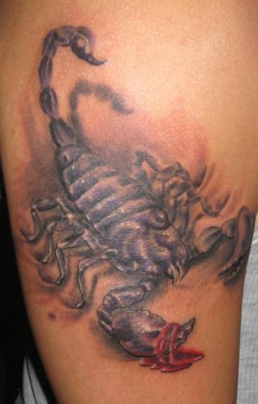 Scorpion
