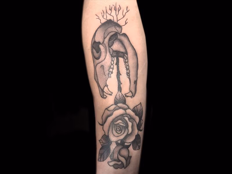 Critter Skull
