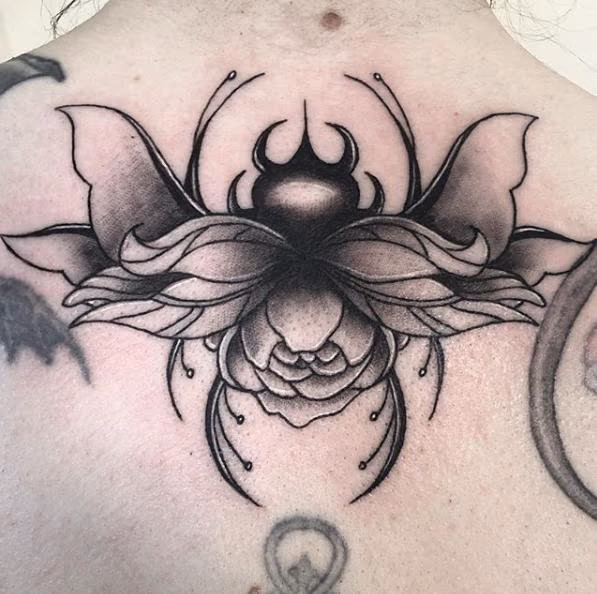 Flower Beetle