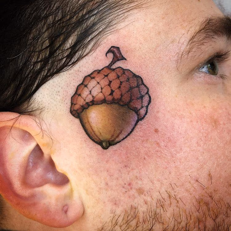 Acorn