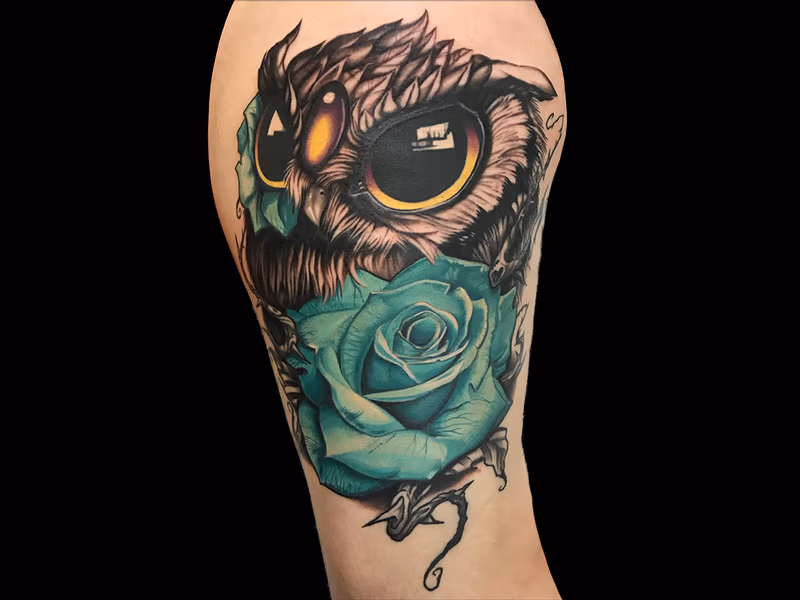 Owl with Rose