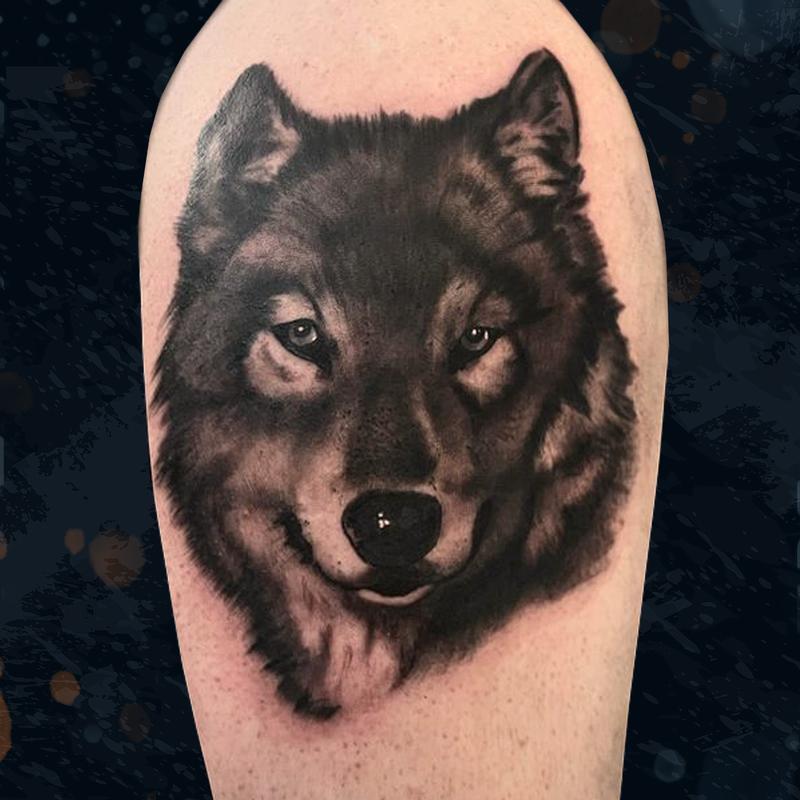 Wolf