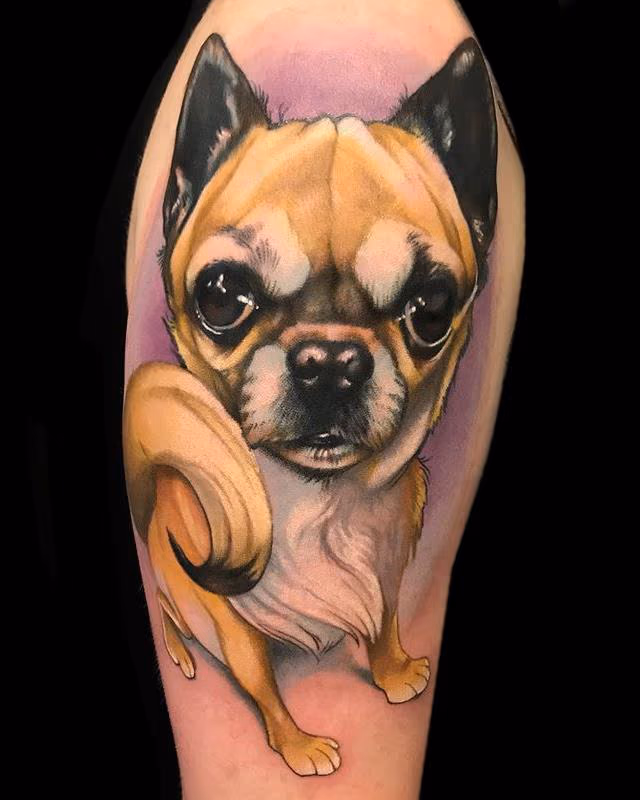 Chihuahua