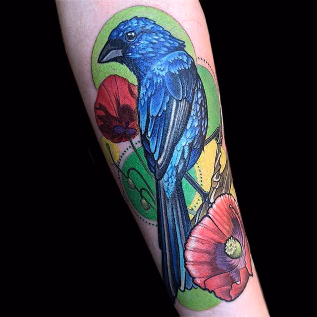 Indigo Bunting
