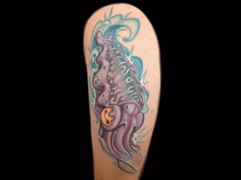 Squid