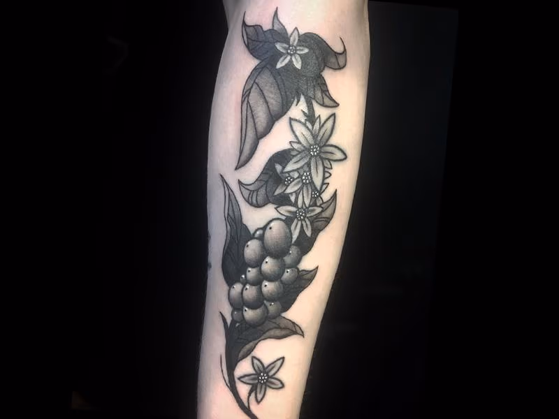 Fruit and Flowers