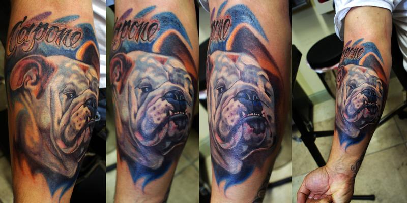 bulldog