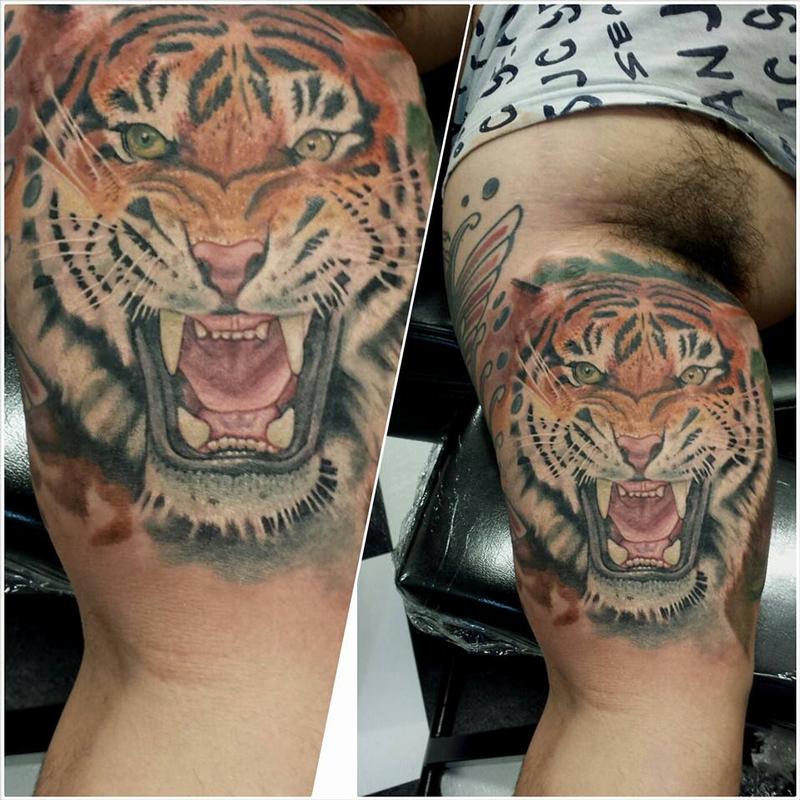tiger ernesto nave