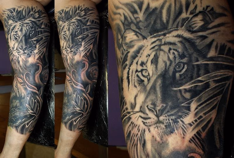tiger
