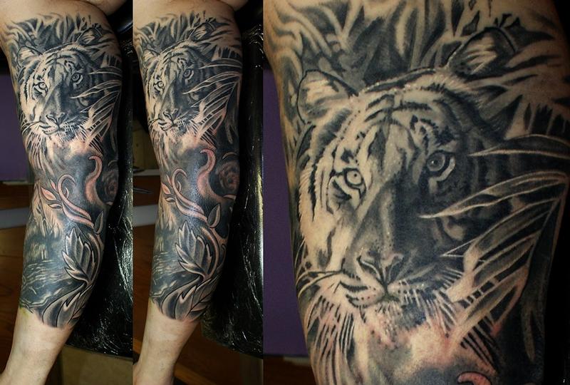 tiger