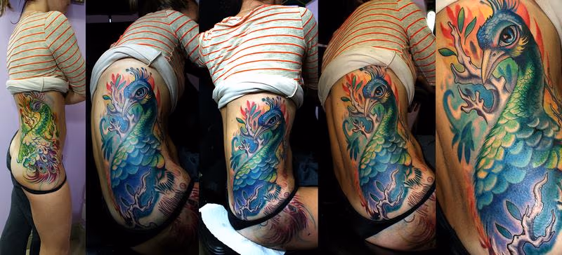 peacock in progress