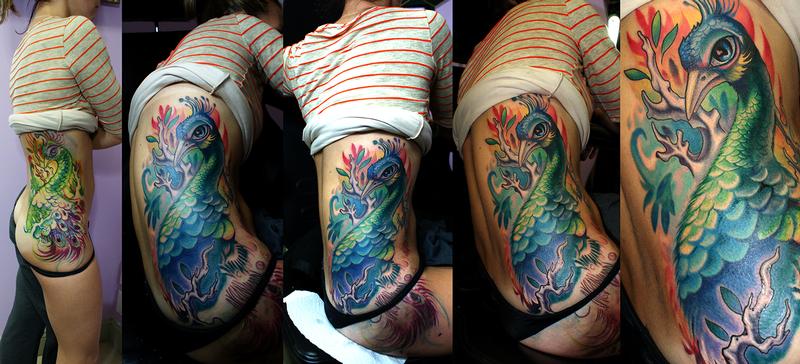 peacock in progress
