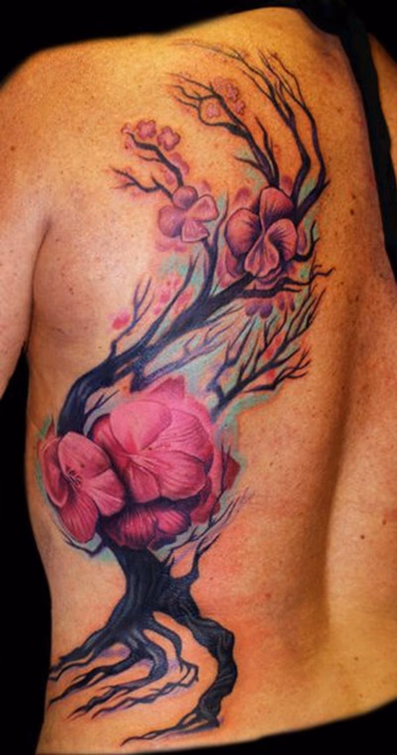 cherry blosssom