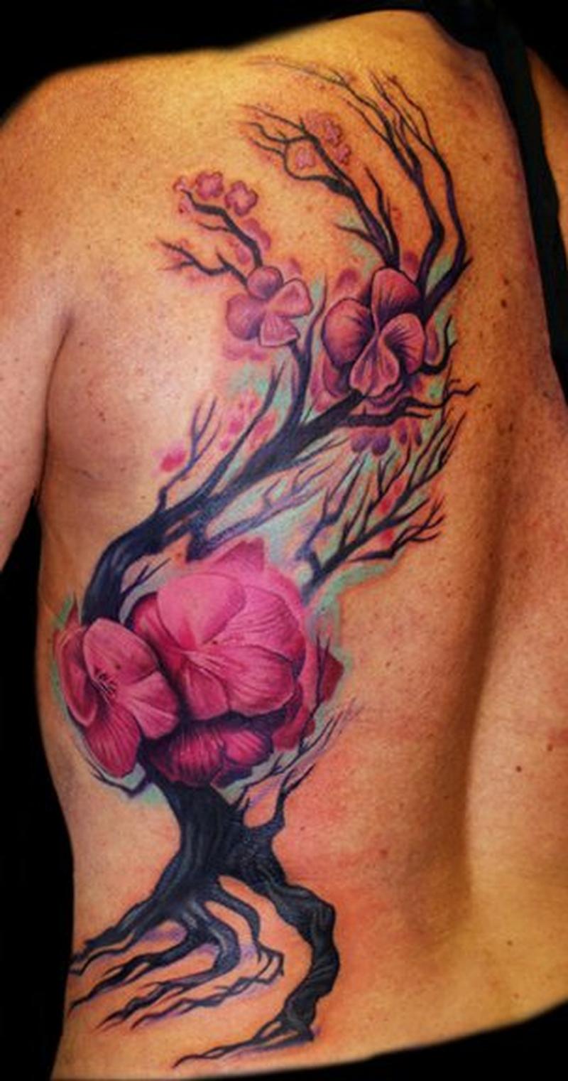 cherry blosssom