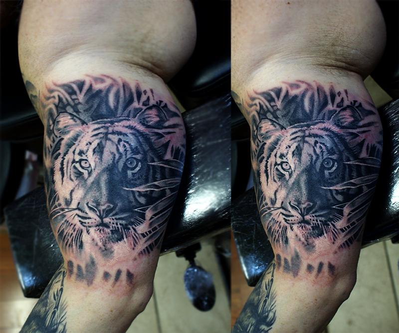 tiger