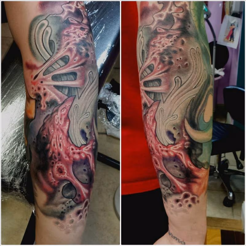bio ernesto nave