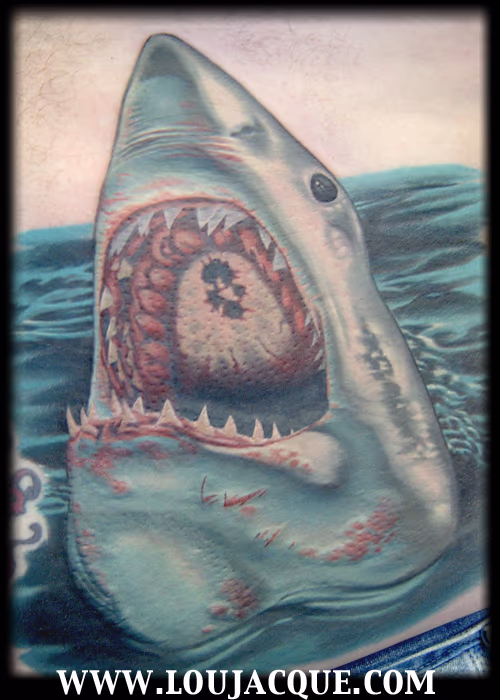 Shark on Belly