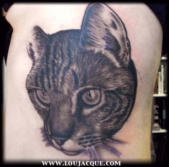 Cat Portrait