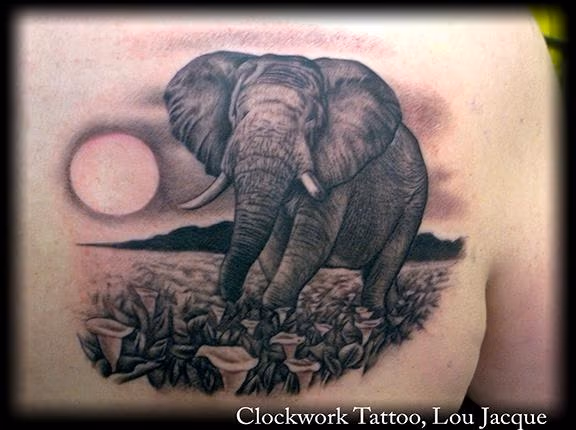 Black and grey elephant and calla lily field