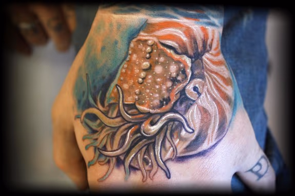 full color nautilus