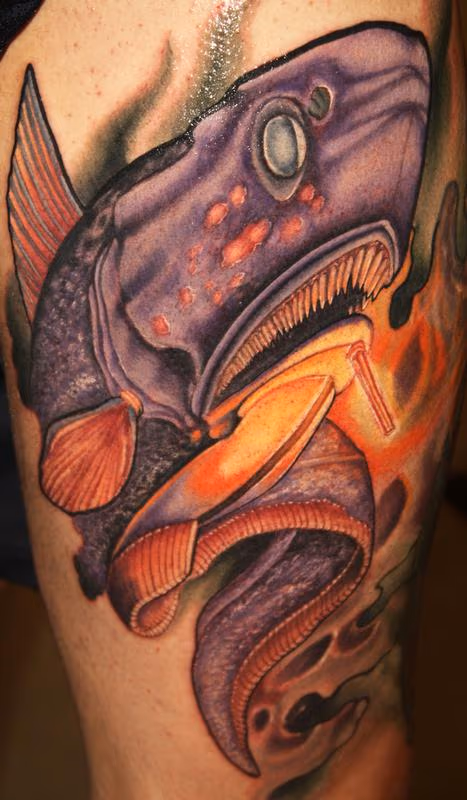 Rat tailed fish