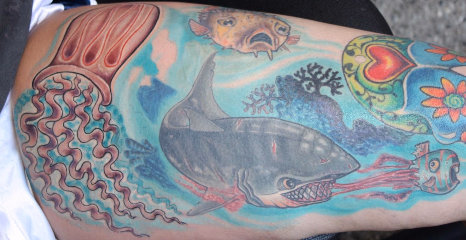 Angry Shark