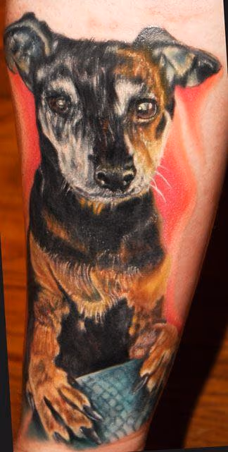 Dog Portrait