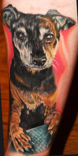 Dog Portrait