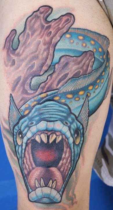 wolf eel