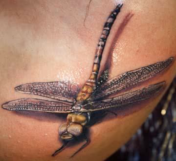 Dragon Fly