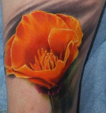California Poppy