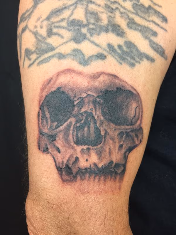 skull