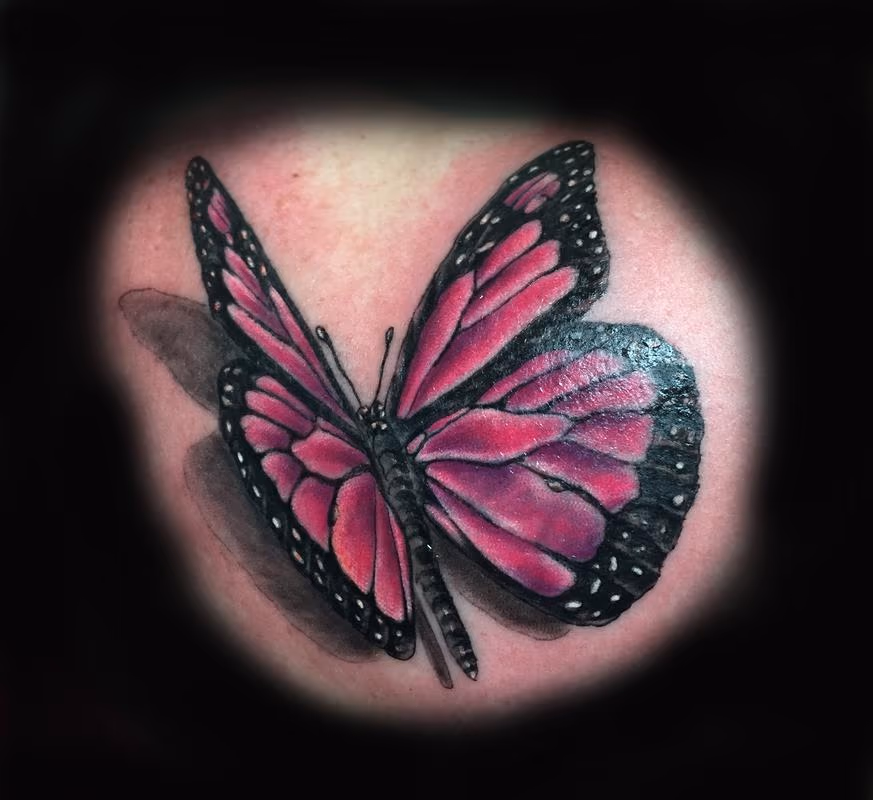 MONARCH BUTTERFLY